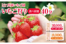 いちご狩りチケット 大人1名 (2月1日〜4月7日・4月27日〜5月6日) 真岡 栃木県 送料無料