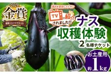ナスの収穫体験チケット2名様 真岡市 栃木県 送料無料