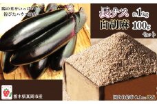 トロ～リ長ナスと国産白ゴマセット 真岡市 栃木県 送料無料