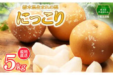 【2025年先行予約】栃木県産 にっこり | ナシ 梨 なし 栃木県 宇都宮産 真岡市 ふるさと納税 送料無料 