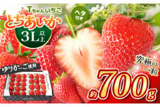 【先行予約】とちあいか３L以上ホール詰め  700g