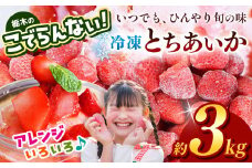 栃木のこでらんない冷凍イチゴ（とちあいか） 約3kg ｜いちご イチゴ 果物 フルーツ 苺 甘い 美味しい とちあいか 大粒 ジューシー 映え 産地直送 栃木県 真岡市 朝摘み 酸味が少ない 冷凍いちご 日本一