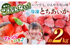 栃木のこでらんない冷凍イチゴ（とちあいか） 約2kg ｜いちご イチゴ 果物 フルーツ 苺 甘い 美味しい とちあいか 大粒 ジューシー 映え 産地直送 栃木県 真岡市 朝摘み 酸味が少ない 冷凍いちご 日本一