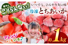 栃木のこでらんない冷凍イチゴ（とちあいか） 約1kg ｜いちご イチゴ 果物 フルーツ 苺 甘い 美味しい とちあいか 大粒 ジューシー 映え 産地直送 栃木県 真岡市 朝摘み 酸味が少ない 冷凍いちご 日本一