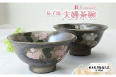 【栃木県共通返礼品・益子町産】益子焼 夫婦茶碗ペアセット 真岡市 栃木県