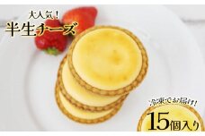 【 ふるさと納税 】半生チーズ　15個入 | チーズケーキ スイーツ 洋菓子 贈答用 お取り寄せ  誕生日 記念日 お土産 内祝い 出産祝い 美味しい 甘い 濃厚 とろける 幸せ 人気 栃木県 真岡市 送料無料