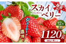 スカイベリー（贈答向け）【12月発送】280ｇ×2ｐ×2箱 真岡市 栃木県 送料無料