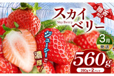 スカイベリー（贈答向け）【3月発送】280ｇ×2p | 贈答品 プレゼント 新鮮 完熟 いちご 旬 スカイベリー 苺 ストロベリー 高級 産地直送 大容量 人気 高評価 真岡市 栃木県 送料無料
