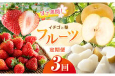 【 定期便 3回 】 甘さ 満開！ とちぎ イチゴ と 梨 の フルーツ 定期便｜ 果物 くだもの 定期 いちご いちご とちあいか なし 栃木県 真岡市 送料無料