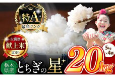 【売り切れ】栃木県産 とちぎの星 白米 20kg |  お米 米 こめ おにぎり ごはん ご飯 令和6年産 栃木県 真岡市 ブランド米 栃木県共通返礼品