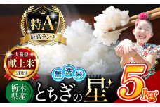 【売り切れ】栃木県産 とちぎの星 無洗米 5kg |  お米 米 こめ おにぎり ごはん ご飯 令和6年産 栃木県 真岡市 ブランド米 栃木県共通返礼品