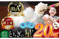 【売り切れ】栃木県産 とちぎの星 無洗米 20kg |  お米 米 こめ おにぎり ごはん ご飯 令和6年産 栃木県 真岡市 ブランド米 栃木県共通返礼品