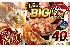 【定期便3回】たじまやオリジナルビッグ餃子 40個  | TAJIMAYA たじまや タジマヤ 大きい ビッグ BIG 餃子 売れ筋 大人気 好評 やみつき リピーター リピート ぎょうざ  旨み 旨味 ぱりっと もっちり ジューシー おかず 惣菜 中華 肉 肉汁 地場 野菜  たっぷり 焼 ごはん おつまみ 栃木県 真岡市 送料無料