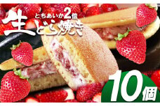 生どら焼き 真岡産 とちあいか2倍 10個入り | お菓子 和菓子 どら焼き いちご とちあいか使用  栃木県 真岡市 送料無料