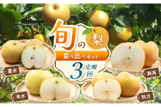 【2025年先行予約】【定期便3回】幸水3kg 豊水3kg 秋月3kg 新高5kg 旬の梨食べ比べセット | 梨 なし フルーツ 鮮度 品種 果汁 多い 酸味 さっぱり 味わい 旬 採れたて 食感 直送 甘い ジューシー 冷やして 美味しい 水分補給 すりおろし 特産品 栃木県 真岡市 送料無料