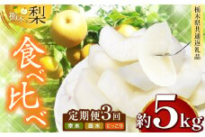 【先行予約】 【 3回定期便 】栃木県産 梨 約 5kg  | ナシ 梨 なし 栃木県共通返礼品 栃木県 真岡市 ふるさと納税 送料無料 