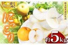 【先行予約】 栃木県産 にっこり 約 5kg  | ナシ 梨 なし 栃木県共通返礼品 栃木県 真岡市 ふるさと納税 送料無料 