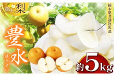 【先行予約】 栃木県産 豊水 約 5kg | ナシ 梨 なし 栃木県共通返礼品 栃木県 真岡市 ふるさと納税 送料無料 
