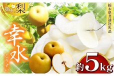【先行予約】 栃木県産 幸水 約 5kg| ナシ 梨 なし 栃木県共通返礼品 栃木県 真岡市 ふるさと納税 送料無料 