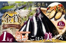 【定期便6回】野菜ソムリエサミット金賞「ごほう美ナス」 約1kg | 野菜 やさい 茄子 なす  ナス 野菜ソムリエ サミット 金賞 ごぼう美ナス きんしょう 受賞 ご褒美 とろとろ ふるさと納税  栃木県 真岡市 送料無料