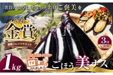 【定期便3回】野菜ソムリエサミット金賞「ごほう美ナス」 約1kg | 野菜 やさい 茄子 なす  ナス 野菜ソムリエ サミット 金賞 ごぼう美ナス きんしょう 受賞 ご褒美 とろとろ ふるさと納税  栃木県 真岡市 送料無料