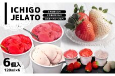 いちごジェラート ( とちひめソルベ、とちあいかソルベ、ミルキーベリーソルベ ) 6個入り箱 | いちご ジェラート とちひめ とちあいか ミルキーベリー ソルベ  冷凍 デザート 苺 6個 入り  果物 栃木県 真岡市 送料無料