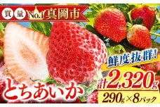 鮮度抜群 とちあいか 4箱 (290g×8) 1740g  |  選べる 容量 4箱 日本一 産地 大粒 冬 味覚 いちご 苺 イチゴ ストロベリー 大きい  ハート 美味しい 果汁 ジューシー 甘い あまい 甘味 たっぷり 大容量 | 人気 レビュー 栃木県 真岡市 送料無料