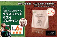 【定期便6回】FEEL NATURAL ココア  | G.Oホールディングス フィールナチュラル ダイエット サポート 置き換え プロティン プロテイン 朝食 乳酸菌 ダイエットサポート ドリンク 食事 国産 美容 ホエイプロテイン ココア 抹茶 ミルクティー プレーン 栃木県 真岡市 送料無料