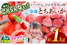 【定期便3回】栃木のこでらんない冷凍イチゴ（とちあいか） 約1kg ｜いちご イチゴ 果物 フルーツ 苺 甘い 美味しい とちあいか 大粒 ジューシー 映え 産地直送 栃木県 真岡市 朝摘み 酸味が少ない 冷凍いちご 日本一
