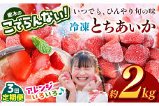 【定期便3回】栃木のこでらんない冷凍イチゴ（とちあいか） 約2kg ｜いちご イチゴ 果物 フルーツ 苺 甘い 美味しい とちあいか 大粒 ジューシー 映え 産地直送 栃木県 真岡市 朝摘み 酸味が少ない 冷凍いちご 日本一