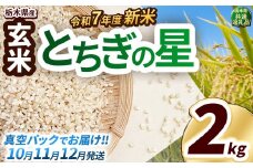 【先行予約】いちご農家さん応援米！令和7年度新米 玄米真空パック 約2kg とちぎの星 | 新米 真岡市産 真空 パック 米  お米 こめ 玄米 ご飯 ごはん もちもち  限定 ふるさと納税 先行 予約 栃木県 真岡市 送料無料 