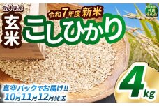 【先行予約】いちご農家さん応援米！令和7年度新米 玄米真空パック 約2kg × 2回 約4kg こしひかり | 新米 真岡市産 真空 パック 米  お米 こめ 玄米 ご飯 ごはん もちもち  限定 ふるさと納税 先行 予約 栃木県 真岡市 送料無料 