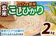 【先行予約】いちご農家さん応援米！令和7年度新米 玄米真空パック 約2kg こしひかり | 新米 真岡市産 真空 パック 米  お米 こめ 玄米 ご飯 ごはん もちもち コシヒカリ 限定 ふるさと納税 先行 予約 栃木県 真岡市 送料無料 