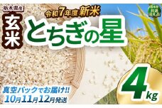 【先行予約】いちご農家さん応援米！令和7年度新米 玄米真空パック 約2kg × 2回 約4kg とちぎの星 | 新米 真岡市産 真空 パック 米  お米 こめ 玄米 ご飯 ごはん もちもち  限定 ふるさと納税 先行 予約 栃木県 真岡市 送料無料 