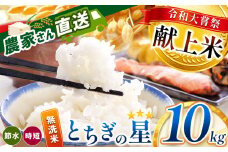 令和大嘗祭献上米！真岡市産 とちぎの星（無洗米）10kg | 新米 お米 米 こめ おにぎり おむすび お弁当 ごはん ご飯 ライス 丼ぶり 真岡産コシヒカリ 白米 真岡市 栃木県