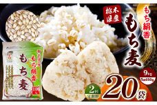 【定期便2回】栃木県産もち麦 9kg(450g×20袋)| もち麦 麦 むぎ 栃木県産 もち 大麦 食物繊維 β-グルカン 糖質 ダイエット 腸内環境 栃木県 真岡市 送料無料