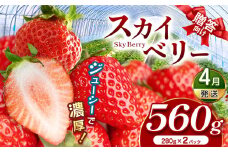 スカイベリー（贈答向け）【4月発送】280ｇ×2p | 贈答品 プレゼント 新鮮 完熟 いちご 旬 スカイベリー 苺 ストロベリー 高級 産地直送 大容量 人気 高評価 真岡市 栃木県 送料無料