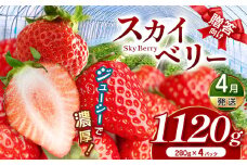 スカイベリー（贈答向け）【4月発送】280ｇ×4p | 贈答品 プレゼント 新鮮 完熟 いちご 旬 スカイベリー 苺 ストロベリー 高級 産地直送 大容量 人気 高評価 真岡市 栃木県 送料無料