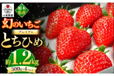 幻のプレミアムいちご とちひめ 1200g | 希少 柔らかい 果肉 大粒 ジューシー 果汁 いちご 苺 特産品 ストロベリー strawberry スイーツ お取り寄せ ご褒美 贈答用 プレゼント ご褒美 栃木県 真岡市
