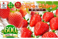 とちひめ とちあいか 食べ比べ プレミアム 幻のいちご｜600g 希少 柔らかい 果肉 大粒 ジューシー 果汁 いちご 苺 特産品 ストロベリー strawberry スイーツ お取り寄せ ご褒美 贈答用 プレゼント ご褒美 栃木県 真岡市