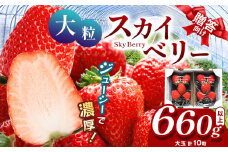 【12月発送予定】 希少な大粒 スカイベリー いちご ギフト｜5粒×2 10粒 12月 贈答品 プレゼント 新鮮 完熟 いちご 旬 スカイベリー 苺 ストロベリー 高級 産地直送 大容量 人気 高評価 真岡市 栃木県 送料無料