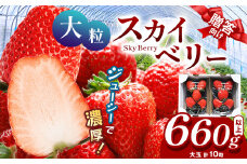 【1月発送予定】 希少な大粒 スカイベリー いちご ギフト｜5粒×2 10粒 1月 贈答品 プレゼント 新鮮 完熟 いちご 旬 スカイベリー 苺 ストロベリー 高級 産地直送 大容量 人気 高評価 真岡市 栃木県 送料無料