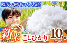 【先行予約】栃木県産コシヒカリ 5kg×2 (10kg)  | 新米 真岡市産 こしひかり コシヒカリ とちぎの星 銘柄 お米 米 おにぎり おむすび  ふるさと納税 先行 予約 栃木県 真岡市 送料無料 