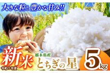【先行予約】とちぎの星 5kg  | 新米 真岡市産 こしひかり コシヒカリ とちぎの星 銘柄 お米 米 おにぎり おむすび  ふるさと納税 先行 予約 栃木県 真岡市 送料無料 