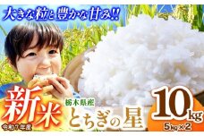 【先行予約】とちぎの星 5kg×2 (10kg)  | 新米 真岡市産 こしひかり コシヒカリ とちぎの星 銘柄 お米 米 おにぎり おむすび  ふるさと納税 先行 予約 栃木県 真岡市 送料無料 
