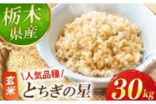 【先行予約】 とちぎの星 玄米 30kg  | お米 新米 米 白米 玄米 おにぎり 日本 主食 米 おいしい おこめ 10kg 30kg 栃木県 真岡市 送料無料