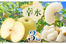 栃木県産 なし 梨 幸水 3kg 8月発送予定 | お取り寄せ 果物 くだもの フルーツ 梨 なし プレゼント ご褒美 甘い 贈答 秋 大きい 高評価 ナシ 8月 9月 10月 栃木県 真岡市 送料無料 栃木県共通返礼品