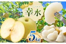 栃木県産 なし 梨 幸水 5kg 8月発送予定 | お取り寄せ 果物 くだもの フルーツ 梨 なし プレゼント ご褒美 甘い 贈答 秋 大きい 高評価 ナシ 8月 9月 10月 栃木県 真岡市 送料無料 栃木県共通返礼品