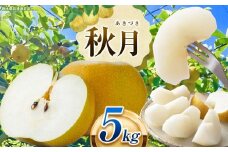 栃木県産 なし 梨 秋月 5kg 9月発送予定 | お取り寄せ 果物 くだもの フルーツ 梨 なし プレゼント ご褒美 甘い 贈答 秋 大きい 高評価 ナシ 8月 9月 10月 栃木県 真岡市 送料無料 栃木県共通返礼品