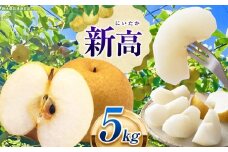栃木県産 なし 梨  新高 5kg 9～10月発送予定 | お取り寄せ 果物 くだもの フルーツ 梨 なし プレゼント ご褒美 甘い 贈答 秋 大きい 高評価 ナシ 8月 9月 10月 栃木県 真岡市 送料無料 栃木県共通返礼品